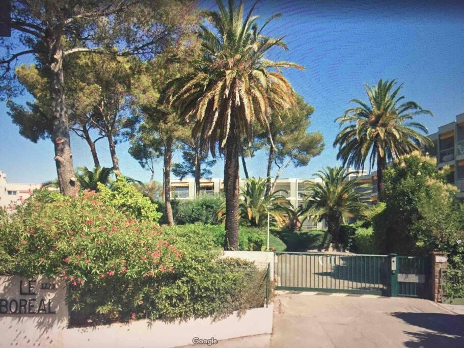 Studio Cosy 100M Plage Saint-Raphaël 외부 사진